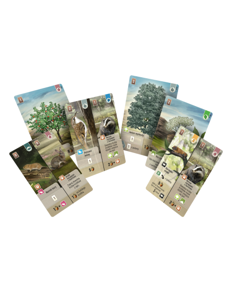 Leśne rozdanie: Dartmoor