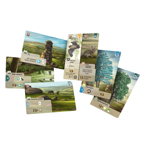 Leśne rozdanie: Dartmoor