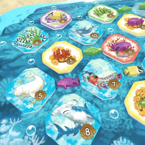 Shallow Sea – Wielka Rafa Koralowa