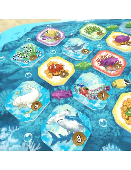 Shallow Sea – Wielka Rafa Koralowa