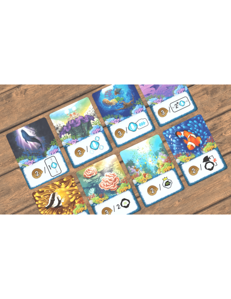 Shallow Sea – Wielka Rafa Koralowa