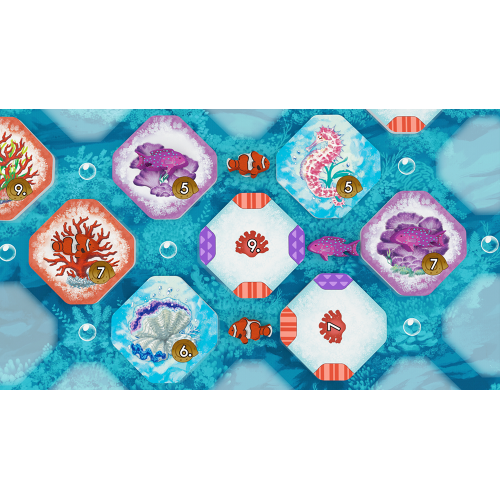 Shallow Sea – Wielka Rafa Koralowa