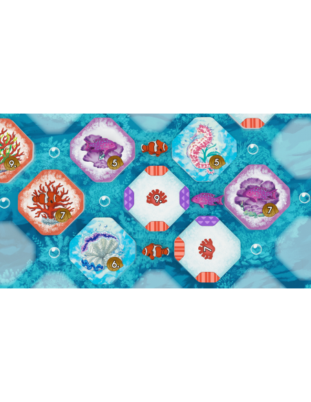 Shallow Sea – Wielka Rafa Koralowa