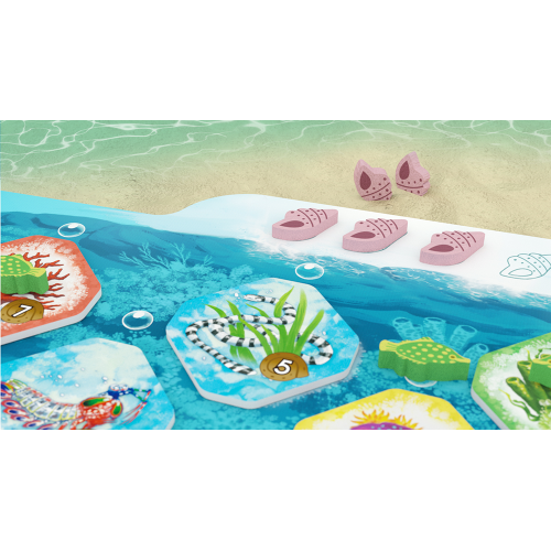 Shallow Sea – Wielka Rafa Koralowa