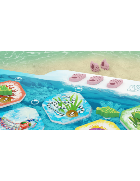 Shallow Sea – Wielka Rafa Koralowa