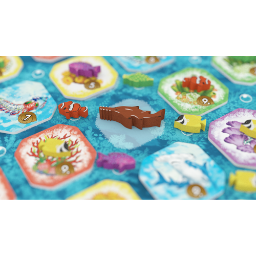 Shallow Sea – Rzadkie Ryby