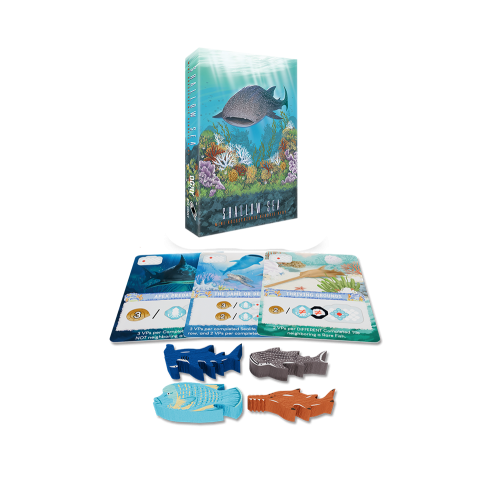 Shallow Sea – Rzadkie Ryby