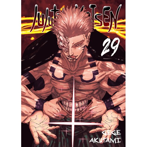 Jujutsu kaisen - 29
