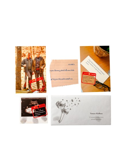 Hidden Games: Sprawa pierwsza Sprawa ze Szczecin Małych