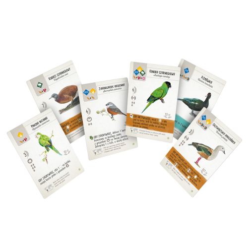 Na skrzydłach: Ptaki Ameryk