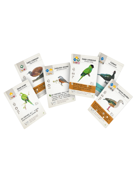 Na skrzydłach: Ptaki Ameryk