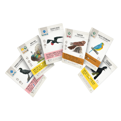 Na skrzydłach: Ptaki Ameryk