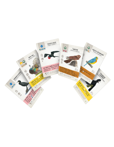 Na skrzydłach: Ptaki Ameryk