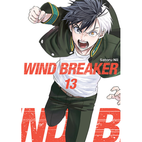 Wind Breaker - 13