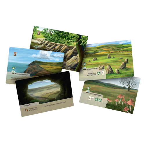 Leśne rozdanie: Dartmoor - Exmoor