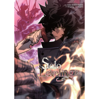 Solo Leveling - 12